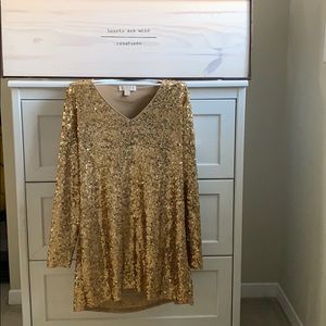 Beautiful Sequence Michael Kors Dress